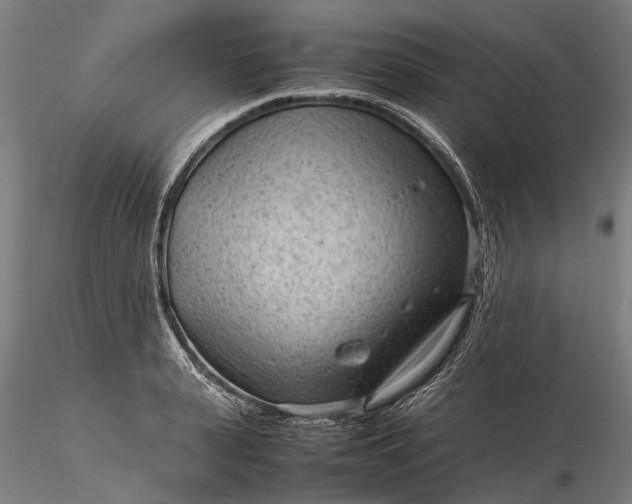 X0000116310943200912141355