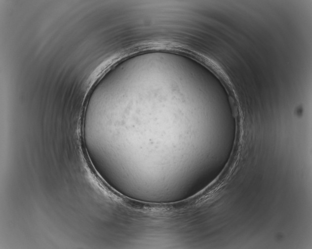 X0000116310946200912141355