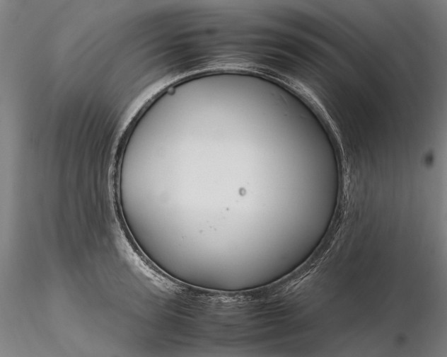 X0000116310947200912141355