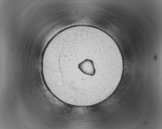 X0000116310950200912141355