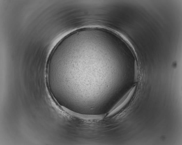 X0000116310951200912141355