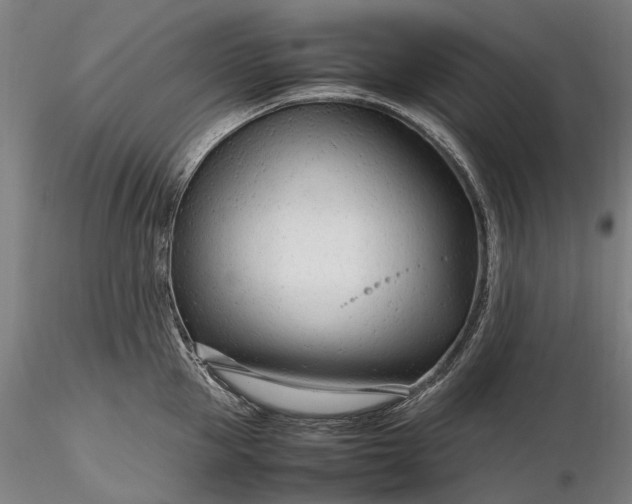 X0000116310953200912141355