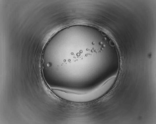 X0000116310954200912141355