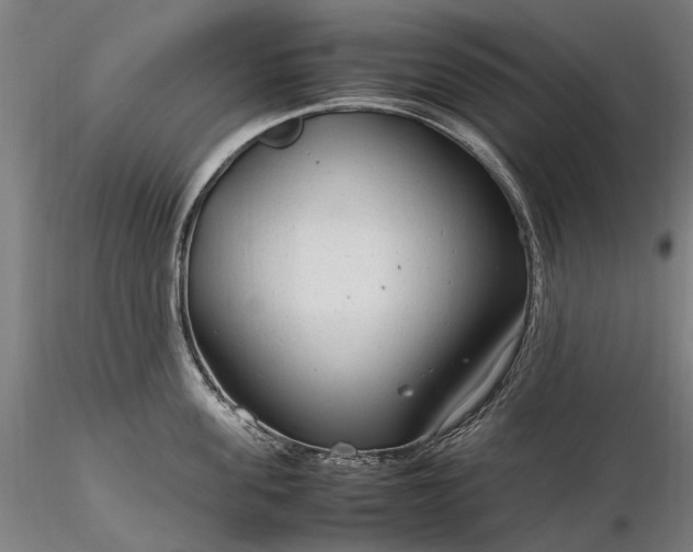 X0000116310955200912141355