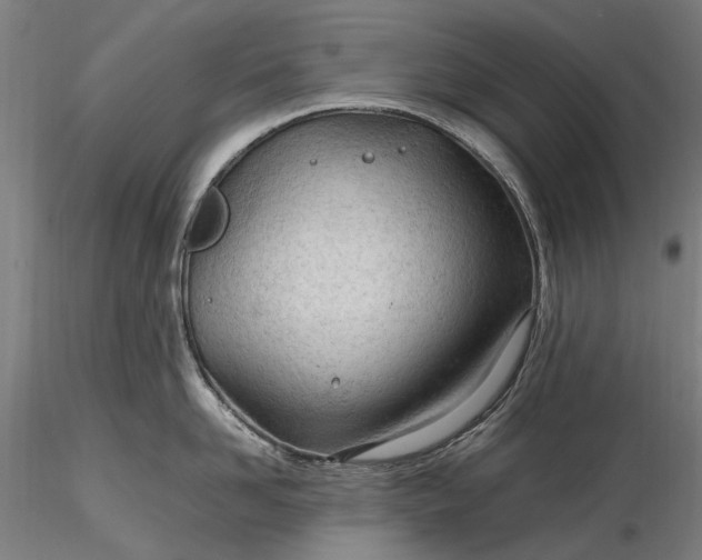 X0000116310958200912141355