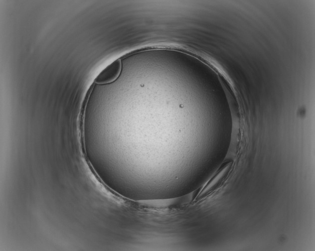 X0000116310959200912141355