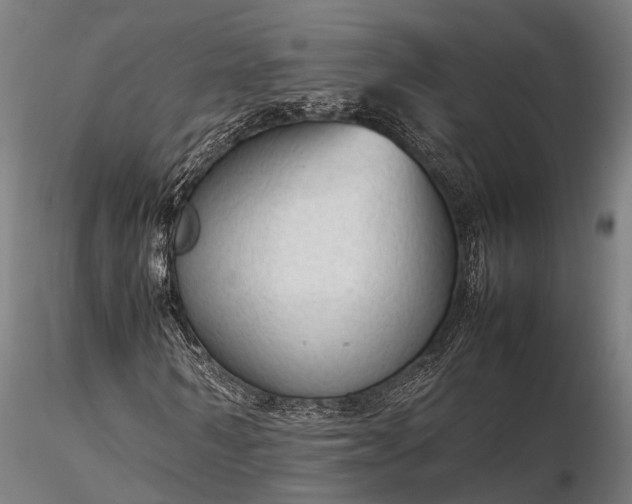 X0000116310962200912141355