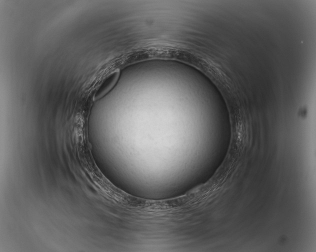 X0000116310964200912141355