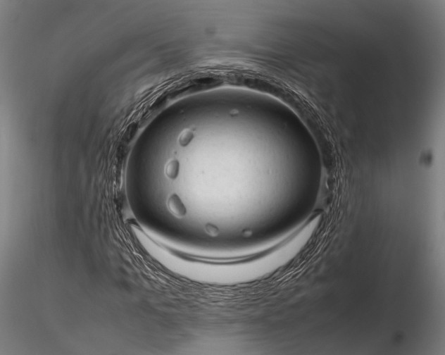 X0000116310965200912141355