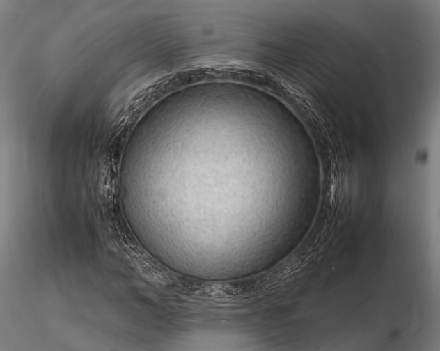 X0000116310966200912141355