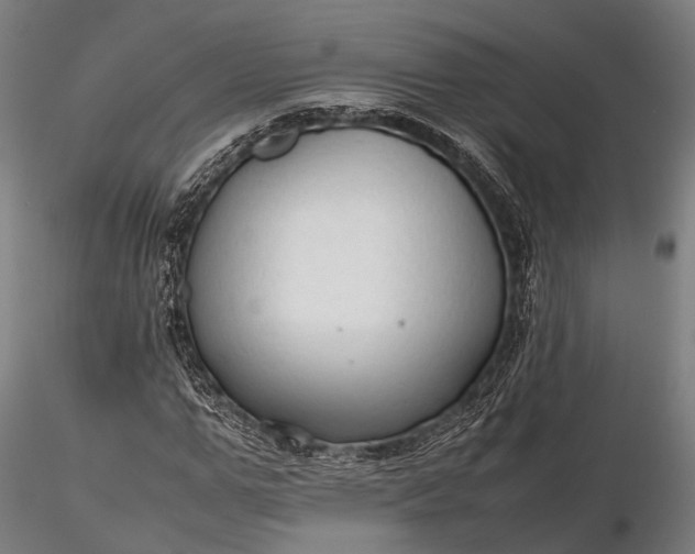 X0000116310967200912141355