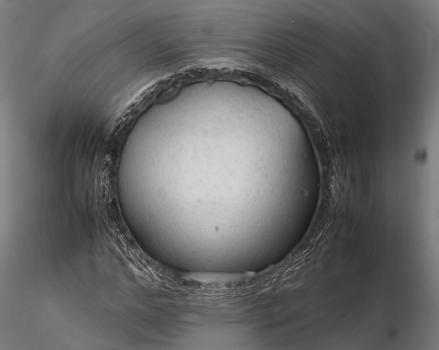 X0000116310968200912141355