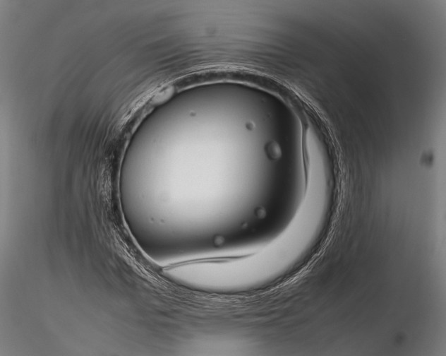 X0000116310969200912141355