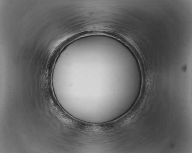 X0000116310971200912141355