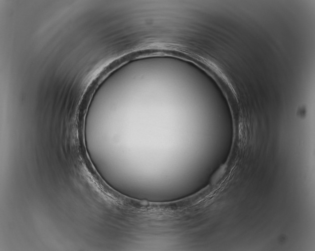 X0000116310972200912141355