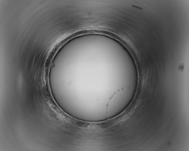 X0000116310974200912141355