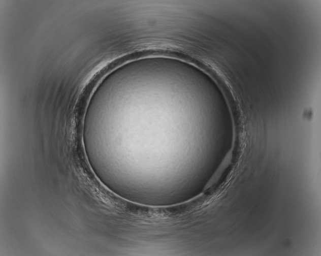 X0000116310975200912141355