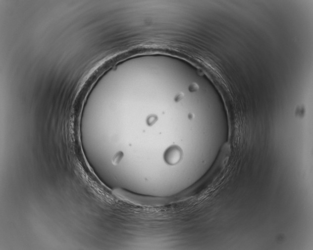 X0000116310976200912141354