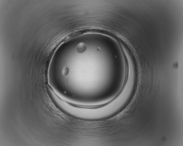 X0000116310977200912141354