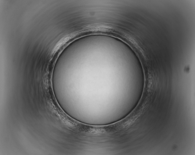 X0000116310978200912141354