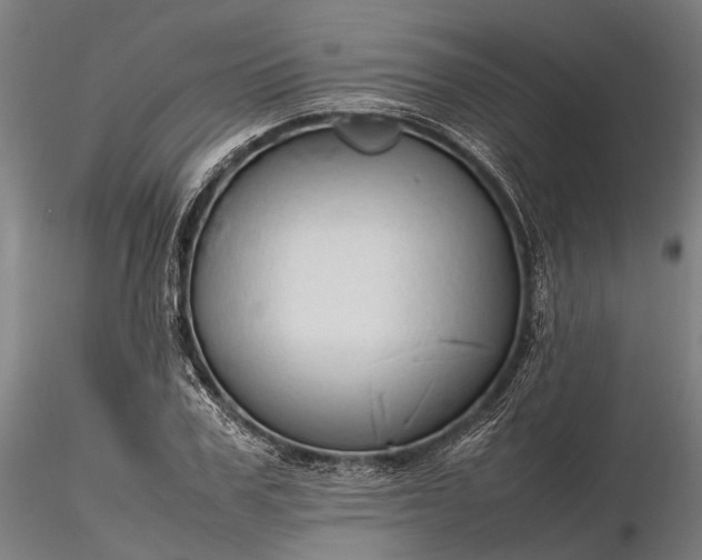 X0000116310979200912141354