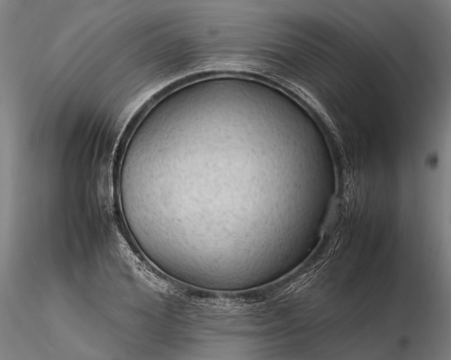 X0000116310980200912141354