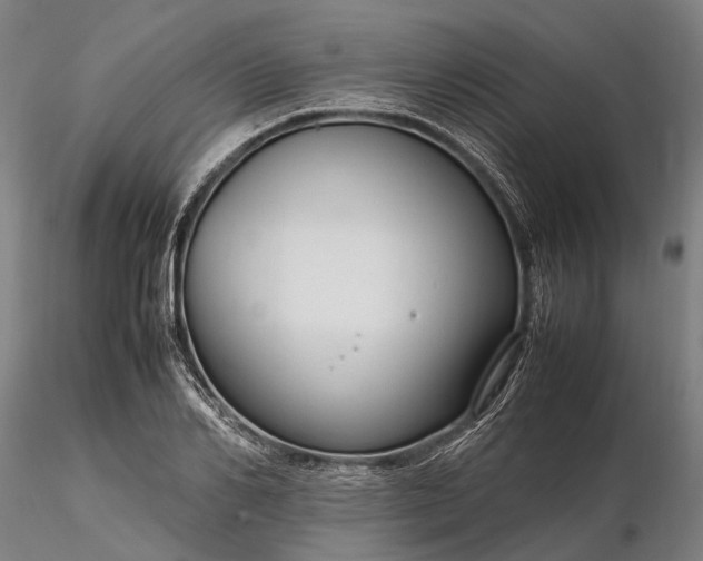 X0000116310982200912141354