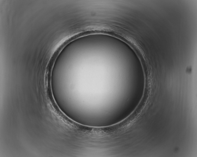 X0000116310983200912141354