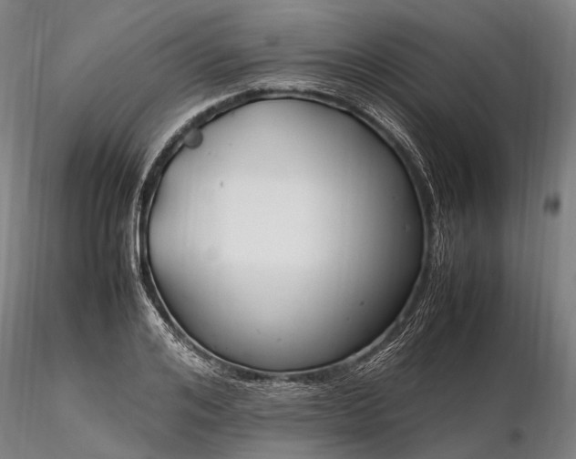 X0000116310984200912141354