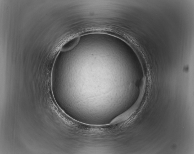 X0000116310985200912141354