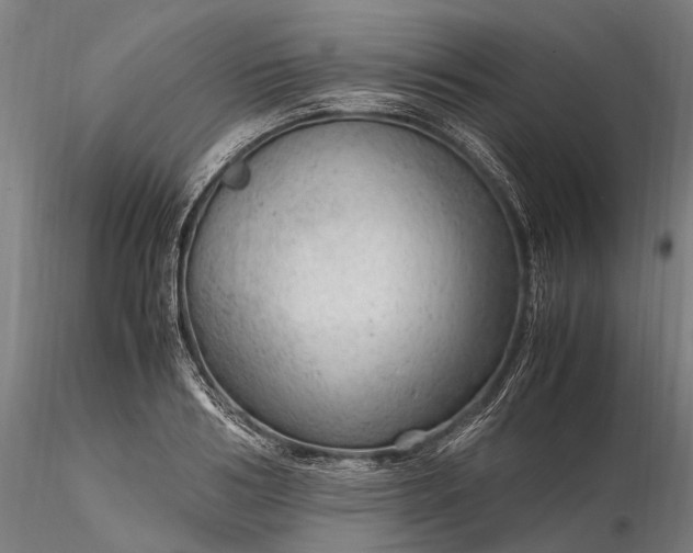 X0000116310986200912141354