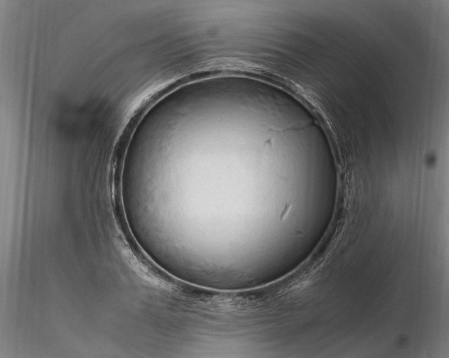 X0000116310987200912141354