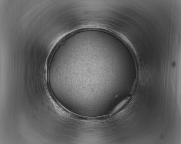 X0000116310988200912141354