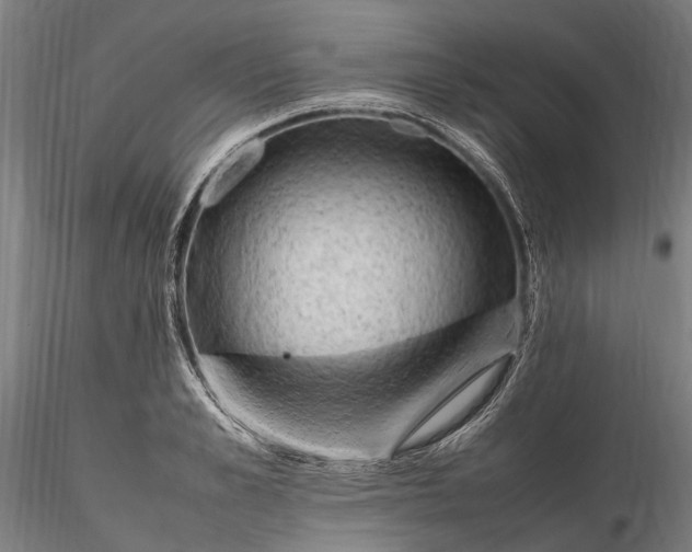 X0000116310989200912141354