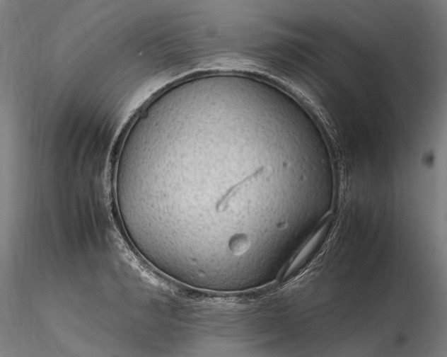 X0000116310990200912141354