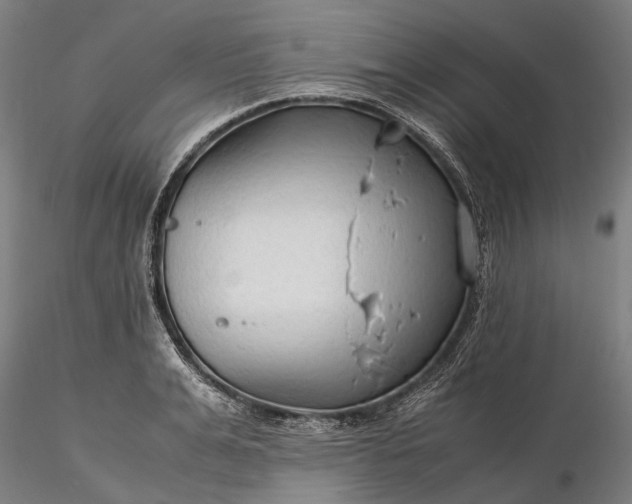 X0000116310991200912141354