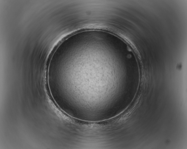 X0000116310992200912141354