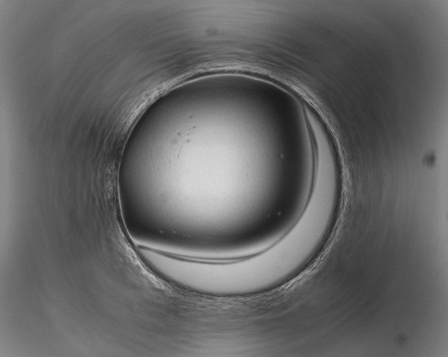 X0000116310993200912141354