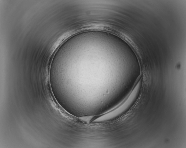 X0000116310994200912141354