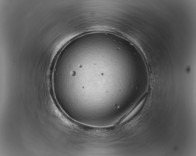 X0000116310995200912141354