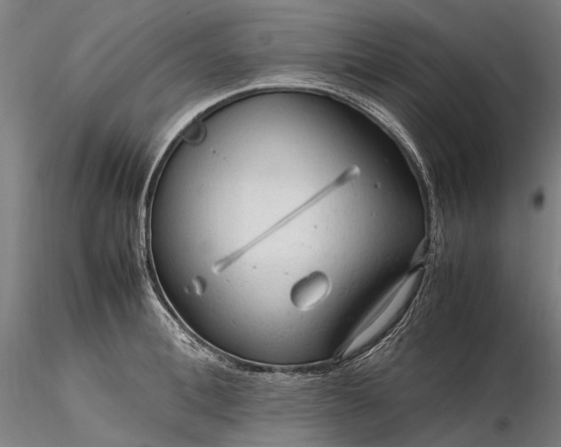 X0000116310996200912141354