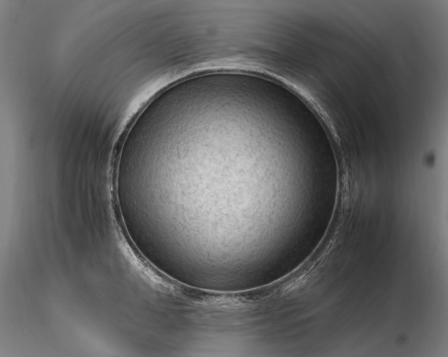 X0000116310998200912141354