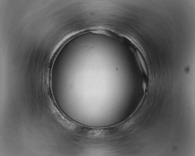 X0000116311000200912141354