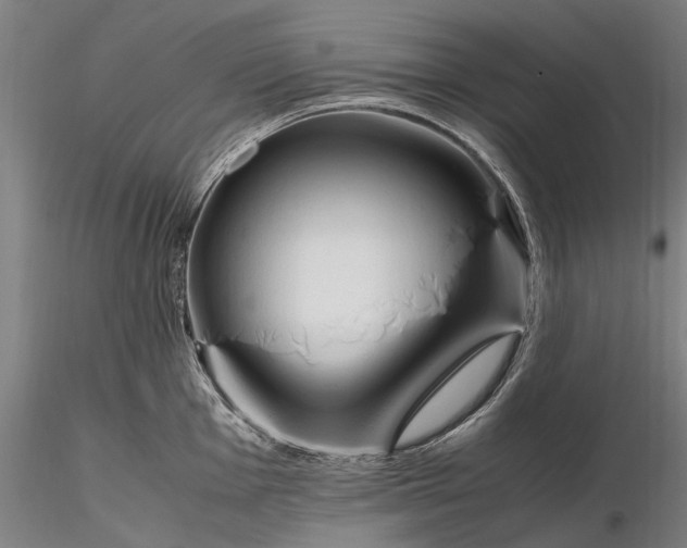 X0000116311001200912141354