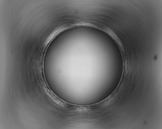 X0000116311002200912141354