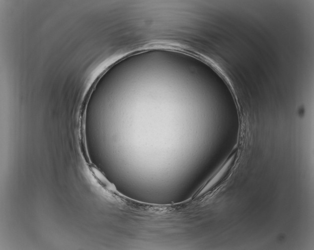 X0000116311003200912141354