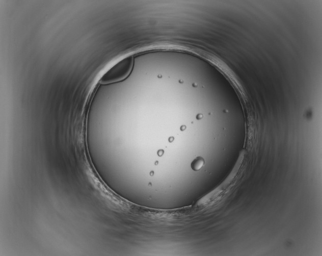 X0000116311004200912141354