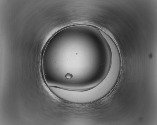 X0000116311005200912141354