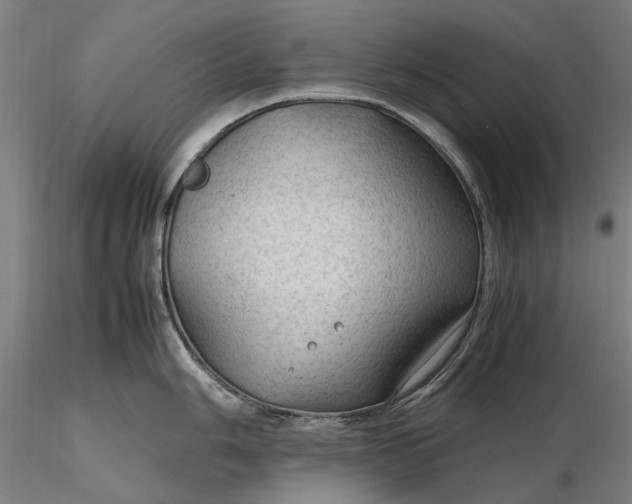 X0000116311006200912141354