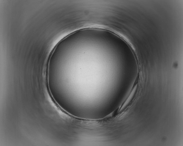 X0000116311007200912141354